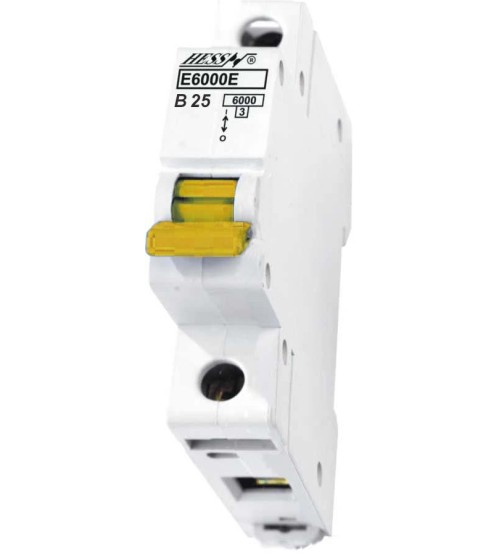 ISTIČ E6000E 1P B 25A