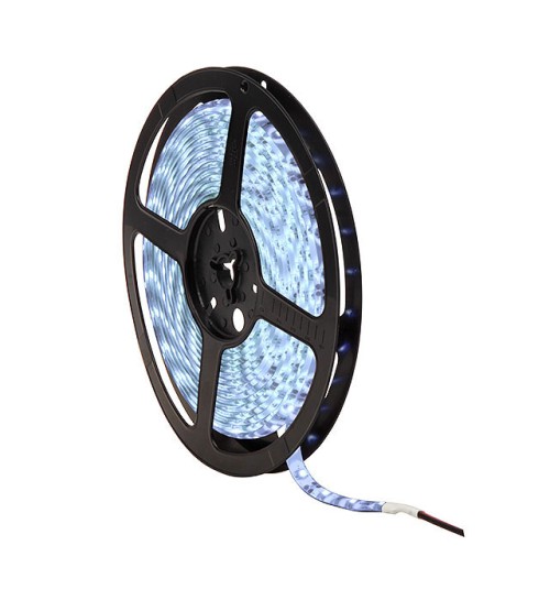 GRANDO LED-CW 5M pásy LED SMD IP65 - studená biela