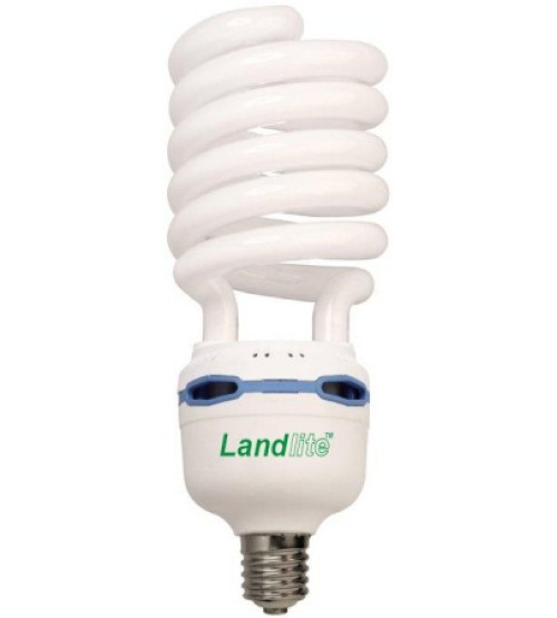 špeciálna žiarivka ELH-80W E40 230V